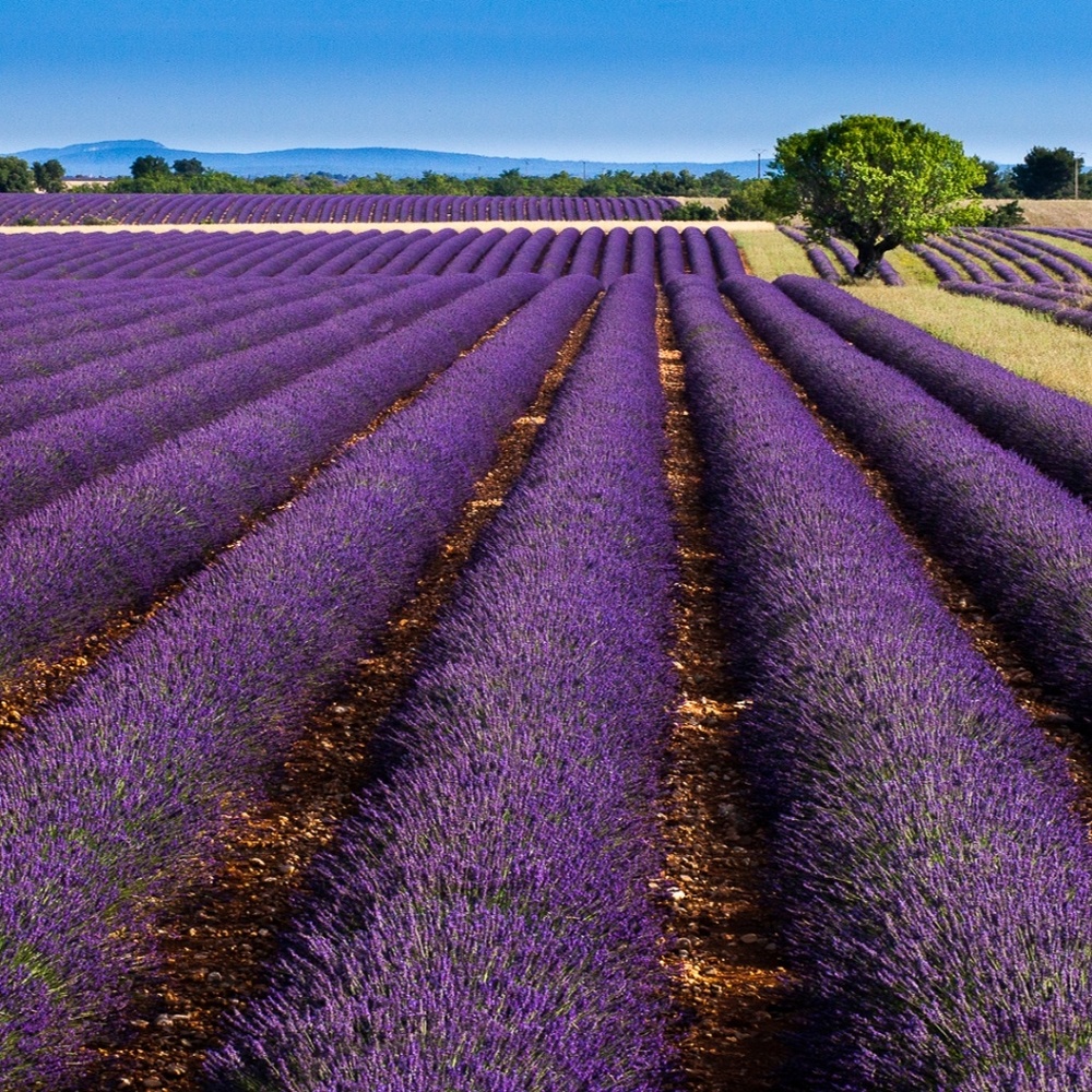 Meet your Posher, Kristina